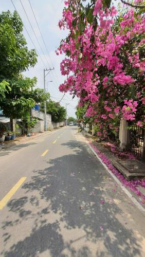 Bán nhà MT Xuân Thới Thượng 12, Xuân Thới Thượng, Hóc Môn: 15 x 23,5m, giá 10,8 tỷ.