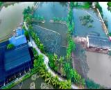 Bán lô đất 15.000 M  Thuận Thiên Kiến Thụy Hải Phòng