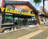 Cho thuê Mặt bằng kinh doanh (nhà mặt tiền 2 tầng) đường Võ chí công Hoà xuân , Cẩm Lệ, ĐN