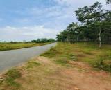 BÁN 26.000M² ĐẤT TRỒNG CAO SU 5 NĂM TUỔI – ĐƯỜNG NHỰA Ô TÔ – HOÀ BÌNH, XUYÊN MỘC – BRVT