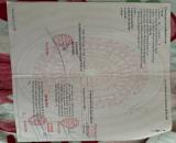 Sở hữu lô đất ngay xã Phước Hội nay là xã Phước Hải TPHCM chỉ từ 1 tỷ 200