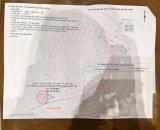 🔥 ĐẤT ĐẤT ĐỎ QUÁ RẺ - CHỈ 550 TRIỆU!