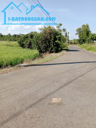 CHÍNH CHỦ Cần Bán Nhanh Đất Tại Xã Bình Trung, Huyện Châu Đức, Bà Rịa Vũng Tàu - 2