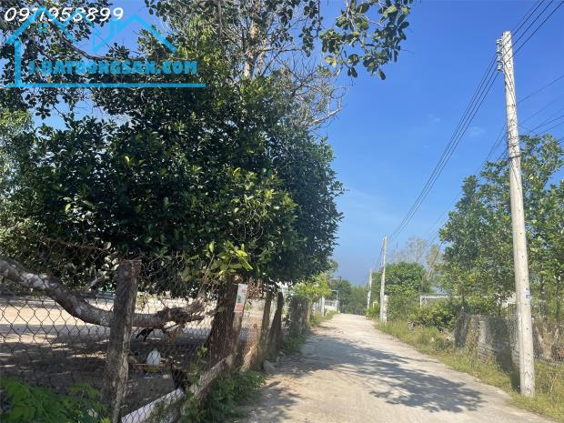 CHỈ 800 TRIỆU SỞ HỮU NGAY LÔ ĐẤT THỔ CƯ – TRUNG TÂM PHƯỜNG TÂN AN, LA GI! - 4