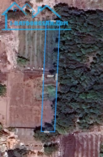 Bán Đất Diện Tích 8x64(515m2), lô 2 trần quang diệu, xã tân phước, Tx LaGi, Bình Thuận - 2