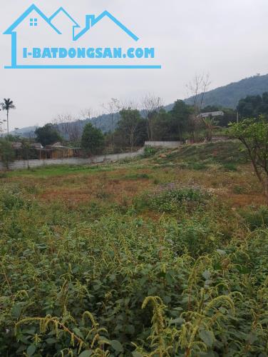 Cần bán đất Lương Sơn Hòa Bình dt: 2736m2, giá 6,8 tỷ - 2