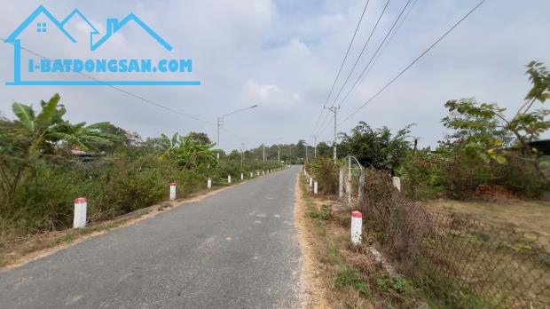 Đất Ngợp gần biển thổ cư đường nhựa Phùng Hưng xã Tân Tiến Thị xã Lagi - 2