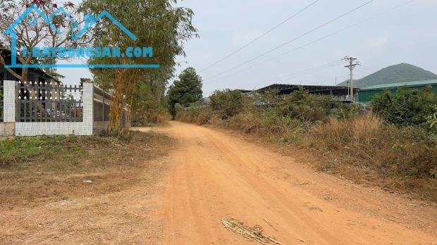 Đất lô 2 Nguyễn Minh Châu góc 2 mặt đường Đống Đa xã Tân Tiến Thị xã Lagi sẵn thổ cư - 1