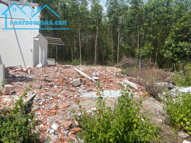 bán đất thổ cư đường ô tô phường tân an, thị xã lagi, chỉ 609 triệu. sổ riêng - 3