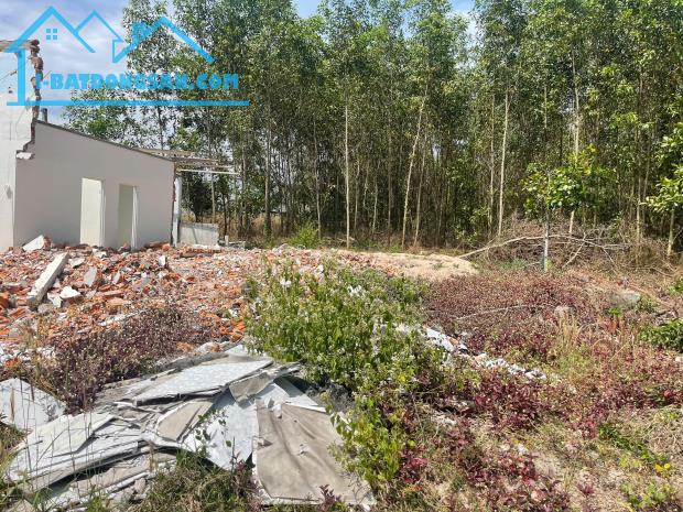 bán đất thổ cư đường ô tô phường tân an, thị xã lagi, chỉ 609 triệu. sổ riêng - 2