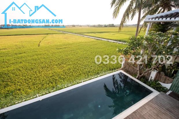 Lô đôi ngang 11m nở hậu view lúa cực chill giáp Resort ven sông Hội An - 3