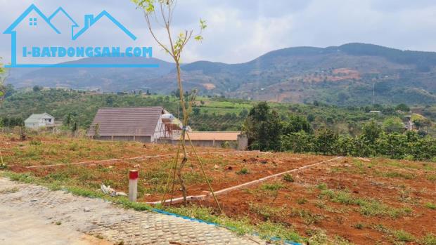 BÁN LỖ 2291M2 SỔ RIÊNG THỔ CƯ GIÁ 276TR NGAY TRƯỜNG, CHỢ T.TÂM BÌNH PHƯỚC - 4