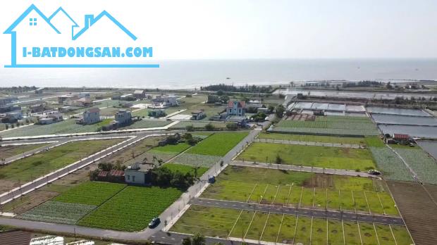 Bán đất biển quất lâm nam định từ 1 tỷ/lô diện tích 80-200m2 - 1