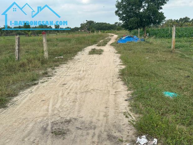 GIẢM SỐC1 1000m2 Khu rừng Vàng Tân Bình, thị xã LaGi 300m2t thổ cư giá ngộp - 1