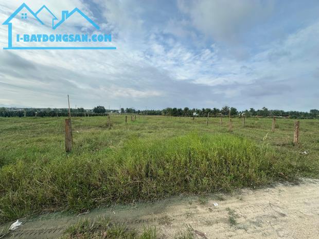GIẢM SỐC1 1000m2 Khu rừng Vàng Tân Bình, thị xã LaGi 300m2t thổ cư giá ngộp - 2