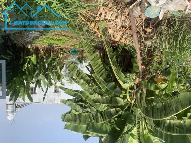 Bán Đất lô góc 2 MT bờ kênh ,đất cao ráo vuông đẹp ,mua đất tặng  vườn cây ăn trái giá tố - 3