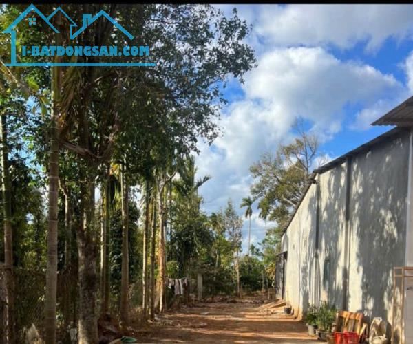 🍎Bán đất 5x63m mặt tiền đường Nhựa N8 đối diện Chợ Đạt Lý, cách Quốc Lộ 14 tầm 300m, Bmt - 1