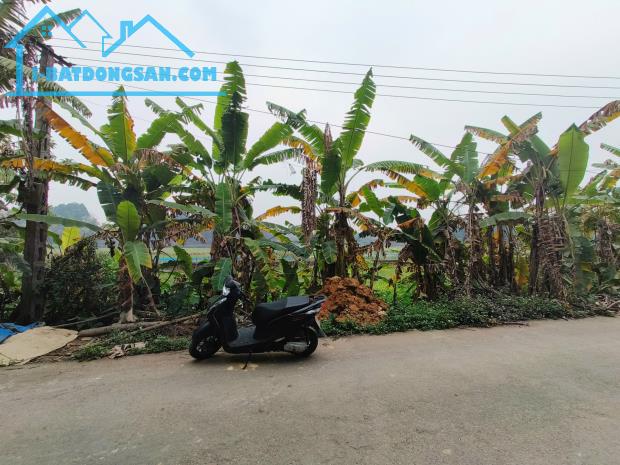 Bán đất tại Thụy Vân, Việt Trì, Phú Thọ, 1,2 tỷ, 105m2, gần KCN, Chung cư Thụy Vân