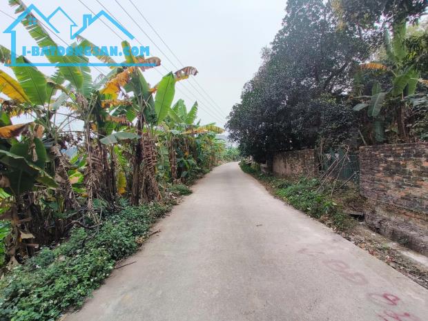 Bán đất tại Thụy Vân, Việt Trì, Phú Thọ, 1,2 tỷ, 105m2, gần KCN, Chung cư Thụy Vân - 2