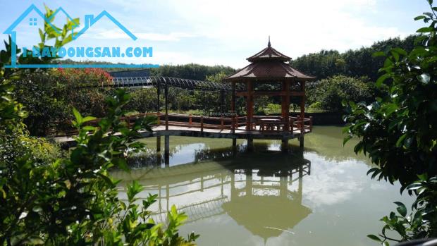 Chính chủ bán trang trại nghỉ dưỡng diện tích 2,8ha kinh doanh cực kỳ tốt - 4