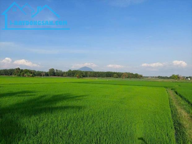 Chính Chủ Cần Bán Lô Đất Vị Trí Đắc Địa Tại Thanh Điền, Châu Thành, Tây Ninh - GIÁ CỰC ƯU - 2