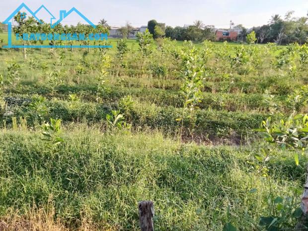 Chính Chủ Cần Bán Lô Đất Vị Trí Đắc Địa Tại Thanh Điền, Châu Thành, Tây Ninh - GIÁ CỰC ƯU