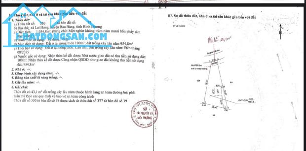 SIÊU PHẨM- CHÍNH CHỦ CẦN BÁN NHANH ĐẤT HUYỆN BÀU BÀNG - BÌNH DƯƠNG - 4