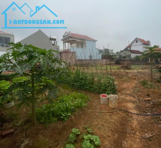 CHỈ VỚI 2.x TỶ SỞ HỮU LÔ ĐẤT GẦN 700m2 NẰM GẦN KHU CÔNG NGHIỆP KHÁM LẠNG - BẮC LŨNG