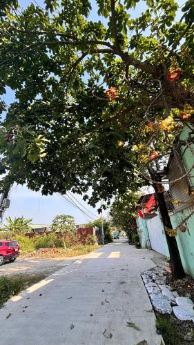 Chính chủ bán nhà đất đường Võ Văn Vân vô 500m ngay chợ 1A, ấp 1, Vĩnh Lộc B, Bình Chánh - 2