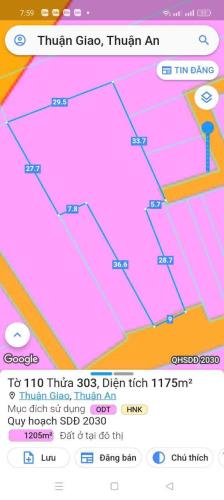 1175m2 đất mặt tiền Thuận Giao 2,kp Bình Thuận 2, Thuận An ,Bình Dương giá 12,5 tỷ - 1