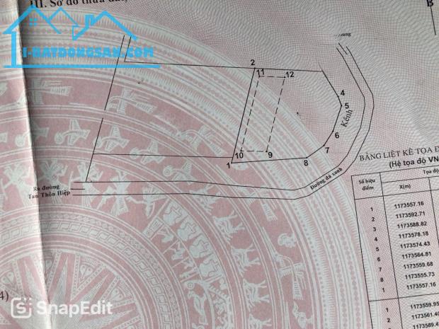 Bán lô đất hai mặt tiền đường xe hơi Tam Thôn Hiệp, Cần Giờ - 1