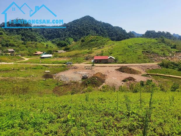 Đất nền đầu tư Mộc Châu Bản Tà Số – Quỹ Đất Lớn, Giá Bán Hấp Dẫn, Tiềm năng Sinh Lời Cao