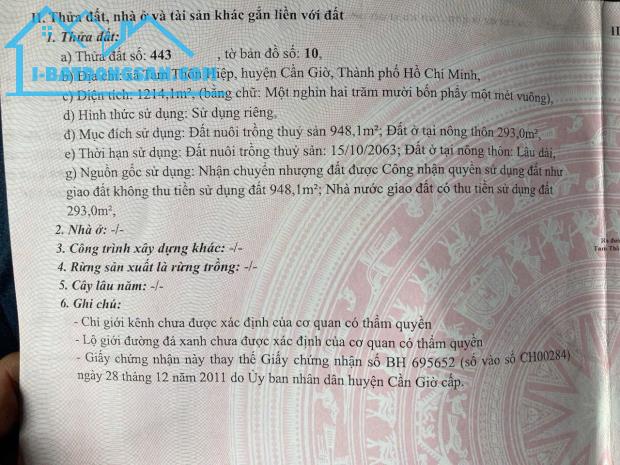 Bán đất đường xe hơi Tam Thôn Hiệp, Cần Giờ: 32 x 38, giá 14 tỷ.