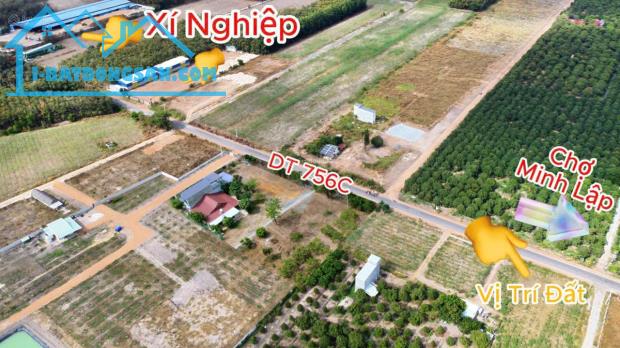 BÁN GẤP 2.2 sào (15X119=2.239m) nở hậu 35m,sát trung tâm trường chợ thị xã,186tr - 2