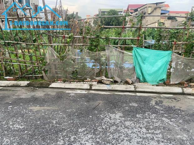 Chính chủ bán 61m2 Đất Kiêu Kỵ ô tô tránh. Lh: 0565732666 - 1
