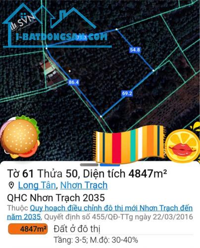 CHUYỂN NHƯỢNG ĐẤT TRỒNG CÂY LÂU NĂM QUY HOẠCH LÊN ĐÔ THỊ - SỞ GIÁO DỤC TẠI LONG TÂN - NHƠN - 3