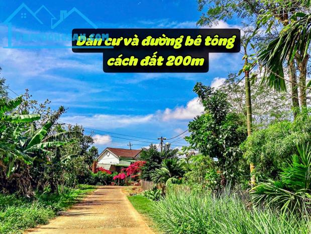 Mở bán 5 lô đất sào quy hoạch thổ cư tại Phú Xuân-Krông Năng- Đắk Lắk sát sông krông - 2