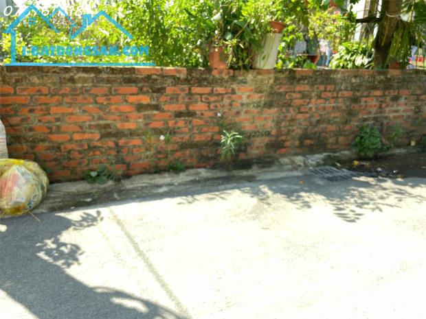 Bán đất đông dư Gia Lâm,sát cầu Thanh Trì, ô tô tránh, 60m, MT4m, 5 tỷ dư - 2