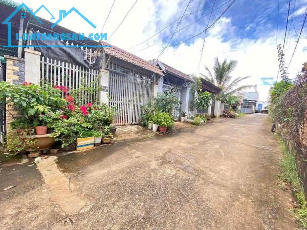 đất 5,2x26,3 phường Tân Lợi hẻm 226 Y Moan khu dân cư yên tĩnh - 1
