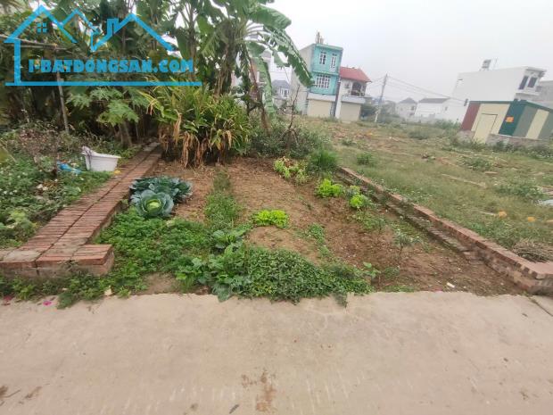 🏠B.á.n đất tổ 10, TT Quang Minh, Mê Linh
👉DT 61m2, MT4.2m, trục chính thông, ôtô vào