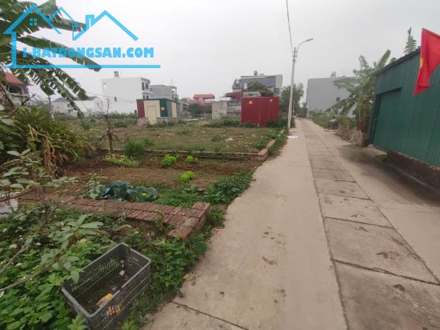 🏠B.á.n đất tổ 10, TT Quang Minh, Mê Linh
👉DT 61m2, MT4.2m, trục chính thông, ôtô vào - 1