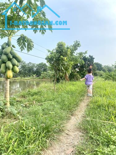 Chính chủ cần bán đất trang trại Vườn Ao Chuồng tại Chương Mỹ, Sổ hồng, giá thương lượng - 2