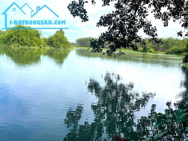 Bán gấp 5x50=255m² TC SHR, view sông Sài Gòn, TT Dầu Tiếng, MT nhựa DT744, giá chỉ 580tr - 2