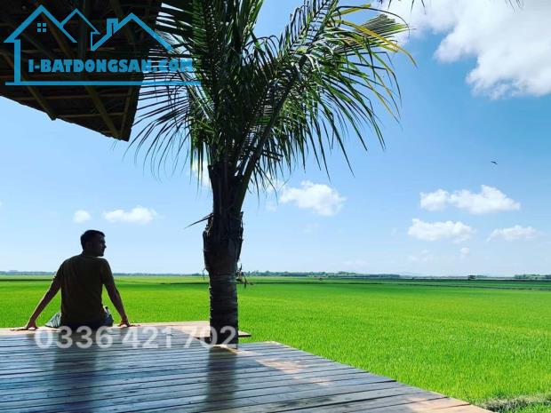 Hàng chính chủ lô nhà vườn ngang 11m nở hậu siêu hiếm giáp TP Hội An - 2