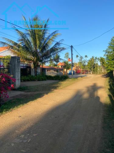 Đất Ta Ra xã Hòa Đông - Krông Păc giá siêu rẻ gần đường tránh đông , cao tốc - 1