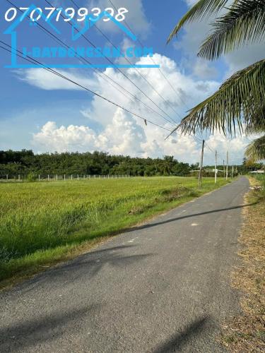 Chính chủ cần bán 4.000m2 đất lúa tại Trí Bình, Châu Thành, Tây Ninh, giá 6,8 tỷ - 4
