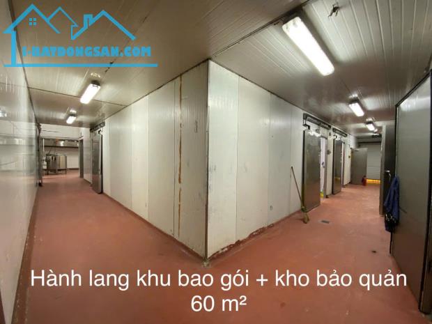 Cho thuê KHO XƯỞNG,Nhà máy Chế Biến Thực Phẩm 1600m,PCCC tự động,xử lý nước thải,Gia LâmHN - 2