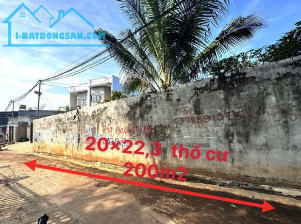 Bán Lô Đất Đẹp 440m² (20mx22,3m) Tại Hẻm 451 Y Moan, Cư Ê Bur, Tp. Buôn Ma Thuột - 5