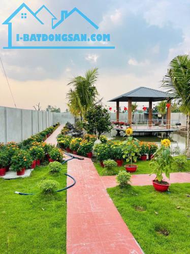 Nhà vườn tổng dt 1400m2 huyện Châu Thành, Long An giá 4,2 tỷ - 1