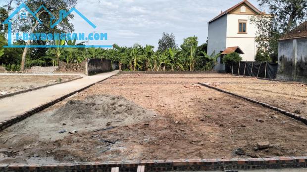 Cần bán 100m2 thổ cư, ô tô vào đất, giá siêu mềm, Sài Sơn, Quốc Oai - 3